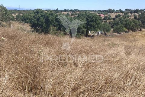 Terra a Nisa, Portalegre, Nisa - € 25.000 | Ref: 045991 - foto 4