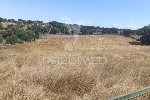 Terra a Nisa, Portalegre, Nisa - € 25.000 | Ref: 045991 - foto 5