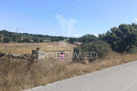 Terra a Nisa, Portalegre, Nisa - € 25.000 | Ref: 045991 - foto 6