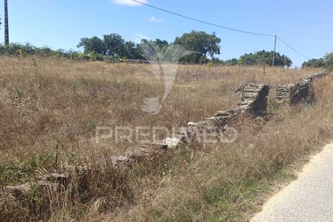 Terra a Nisa, Portalegre, Nisa - € 25.000 | Ref: 045991 - foto 7