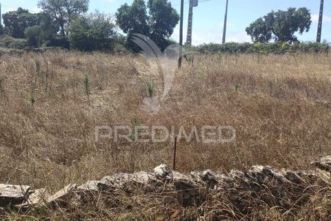 Terra a Nisa, Portalegre, Nisa - € 25.000 | Ref: 045991 - foto 8