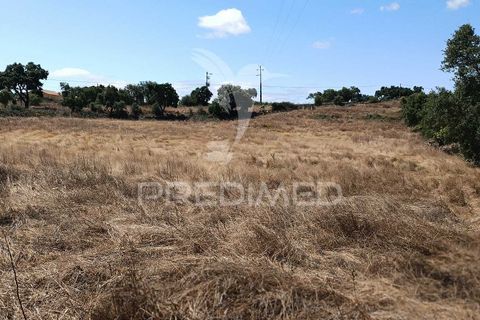 Terra a Nisa, Portalegre, Nisa - € 25.000 | Ref: 045991 - foto 10