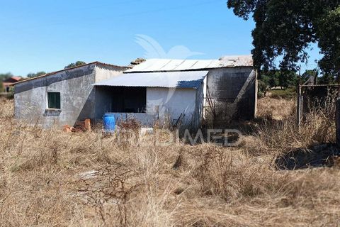 Terra a Nisa, Portalegre, Nisa - € 25.000 | Ref: 045991 - foto 11