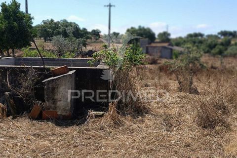 Terra a Nisa, Portalegre, Nisa - € 25.000 | Ref: 045991 - foto 18