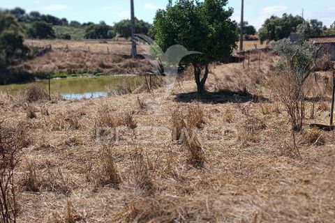 Terra a Nisa, Portalegre, Nisa - € 25.000 | Ref: 045991 - foto 19