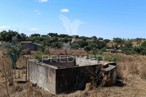 Terra a Nisa, Portalegre, Nisa - € 25.000 | Ref: 045991 - foto 20