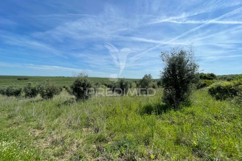 Tomt i Avis, Portalegre, Avis - € 25 000 | Ref: 046995 - foto 2