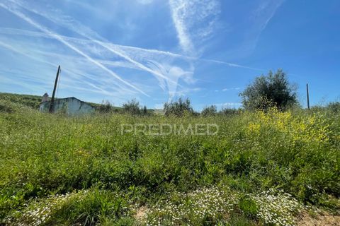 Tomt i Avis, Portalegre, Avis - € 25 000 | Ref: 046995 - foto 7