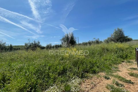 Tomt i Avis, Portalegre, Avis - € 25 000 | Ref: 046995 - foto 8