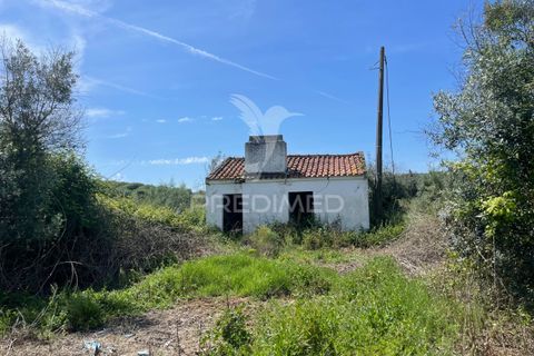 Tomt i Avis, Portalegre, Avis - € 25 000 | Ref: 046995 - foto 10