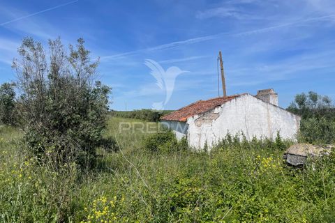 Tomt i Avis, Portalegre, Avis - € 25 000 | Ref: 046995 - foto 12