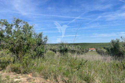 Tomt i Avis, Portalegre, Avis - € 25 000 | Ref: 046995 - foto 13