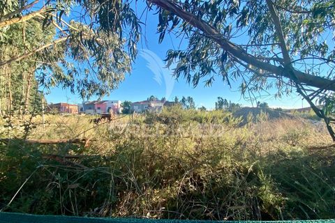 Helårsgrund i Rio Maior, Santarem, Rio Maior - € 40.500 | Ref: 047638 - foto 1