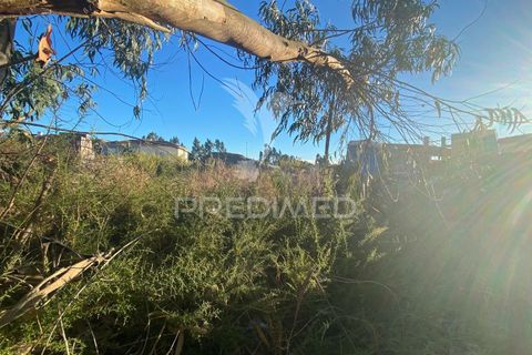 Helårsgrund i Rio Maior, Santarem, Rio Maior - € 40.500 | Ref: 047638 - foto 2