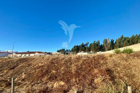 Helårsgrund i Rio Maior, Santarem, Rio Maior - € 42.500 | Ref: 047647 - foto 2