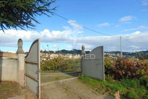 Farm hus i Vila Real, Vila Real, Vila Real - € 230.000 | Ref: 048254 - foto 2