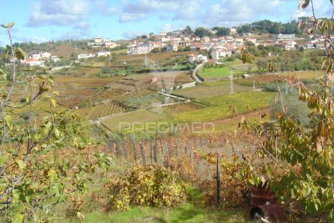 Farm hus i Vila Real, Vila Real, Vila Real - € 230.000 | Ref: 048254 - foto 5