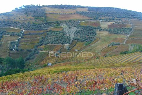 Farm hus i Vila Real, Vila Real, Vila Real - € 230.000 | Ref: 048254 - foto 6