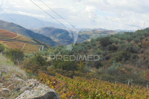 Farm hus i Vila Real, Vila Real, Vila Real - € 230.000 | Ref: 048254 - foto 8