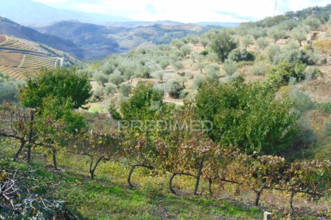 Farm hus i Vila Real, Vila Real, Vila Real - € 230.000 | Ref: 048254 - foto 9