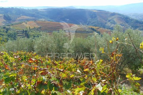 Farm hus i Vila Real, Vila Real, Vila Real - € 230.000 | Ref: 048254 - foto 10