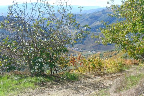 Farm hus i Vila Real, Vila Real, Vila Real - € 230.000 | Ref: 048254 - foto 11