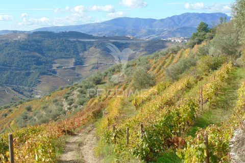 Farm hus i Vila Real, Vila Real, Vila Real - € 230.000 | Ref: 048254 - foto 12