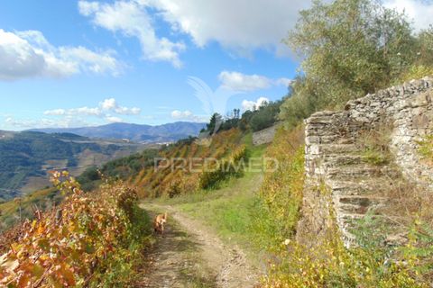 Farm hus i Vila Real, Vila Real, Vila Real - € 230.000 | Ref: 048254 - foto 13