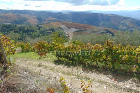 Farm hus i Vila Real, Vila Real, Vila Real - € 230.000 | Ref: 048254 - foto 14