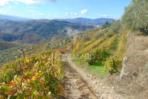 Farm hus i Vila Real, Vila Real, Vila Real - € 230.000 | Ref: 048254 - foto 18
