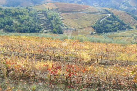 Farm hus i Vila Real, Vila Real, Vila Real - € 230.000 | Ref: 048254 - foto 19
