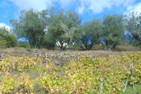 Farm hus i Vila Real, Vila Real, Vila Real - € 230.000 | Ref: 048254 - foto 23