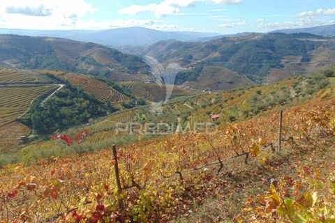 Farm hus i Vila Real, Vila Real, Vila Real - € 230.000 | Ref: 048254 - foto 25
