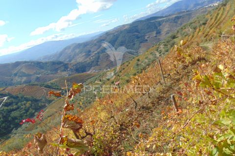 Farm hus i Vila Real, Vila Real, Vila Real - € 230.000 | Ref: 048254 - foto 26