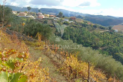 Farm hus i Vila Real, Vila Real, Vila Real - € 230.000 | Ref: 048254 - foto 27
