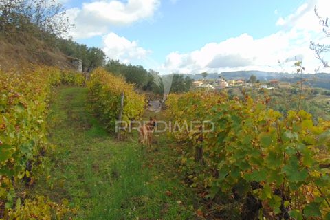 Farm hus i Vila Real, Vila Real, Vila Real - € 230.000 | Ref: 048254 - foto 28