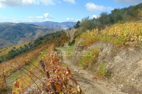 Farm hus i Vila Real, Vila Real, Vila Real - € 230.000 | Ref: 048254 - foto 29