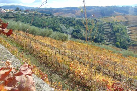 Farm hus i Vila Real, Vila Real, Vila Real - € 230.000 | Ref: 048254 - foto 31