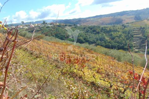 Farm hus i Vila Real, Vila Real, Vila Real - € 230.000 | Ref: 048254 - foto 33