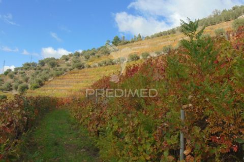 Farm hus i Vila Real, Vila Real, Vila Real - € 230.000 | Ref: 048254 - foto 35