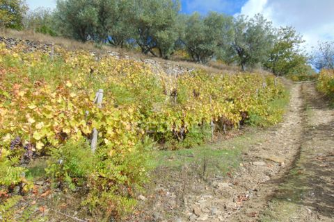 Farm hus i Vila Real, Vila Real, Vila Real - € 230.000 | Ref: 048254 - foto 37