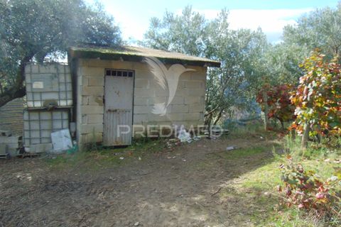 Farm hus i Vila Real, Vila Real, Vila Real - € 230.000 | Ref: 048254 - foto 38