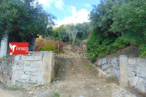 Farm hus i Vila Real, Vila Real, Vila Real - € 230.000 | Ref: 048254 - foto 39