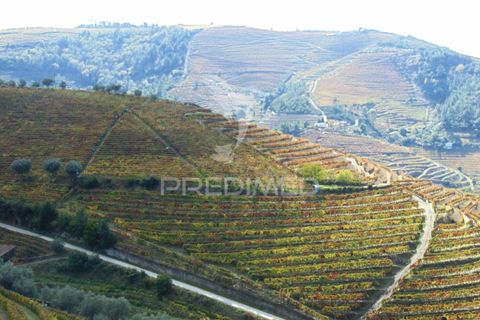 Farm hus i Vila Real, Vila Real, Vila Real - € 230.000 | Ref: 048254 - foto 40