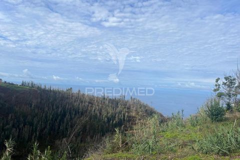 Byhus i Calheta, Madeira, Calheta - € 160.000 | Ref: 048687 - foto 1