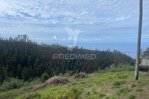 Byhus i Calheta, Madeira, Calheta - € 160.000 | Ref: 048687 - foto 2