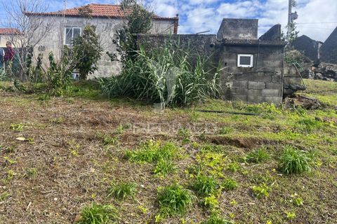 Byhus i Calheta, Madeira, Calheta - € 160.000 | Ref: 048687 - foto 8