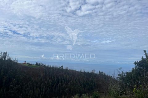 Byhus i Calheta, Madeira, Calheta - € 160.000 | Ref: 048687 - foto 9