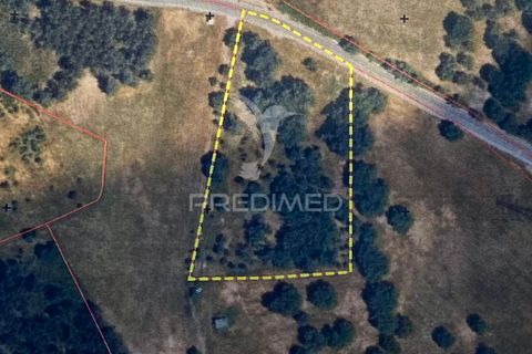 Helårsgrund i Palmela, Setubal, Palmela - € 100.000 | Ref: 048789 - foto 10
