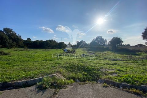 Helårsgrund i Palmela, Setubal, Palmela - € 100.000 | Ref: 048789 - foto 14